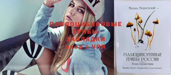 гашик Балабаново