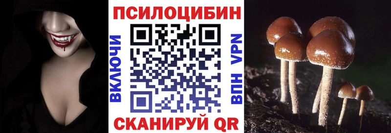 продажа наркотиков  дарк нет наркотические препараты  Псилоцибиновые грибы мицелий  Сосенский 